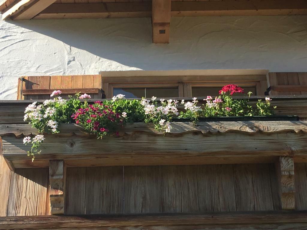 Apartment Streifblick Reith bei Kitzbühel エクステリア 写真